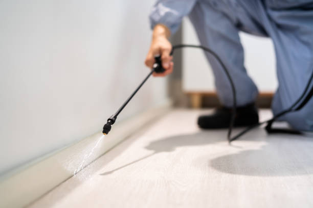 Licensed Termite Control service in Farmington, MS - Nex Pest Control