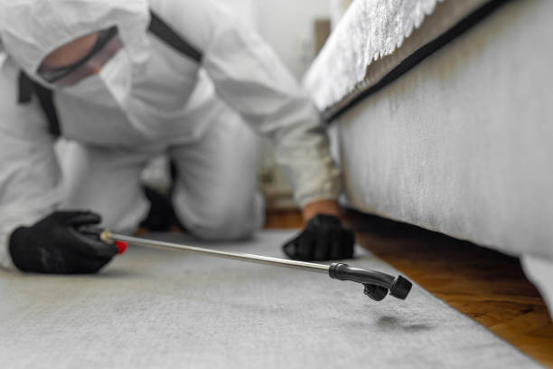 Professional Termite Control technician working in Farmington, MS