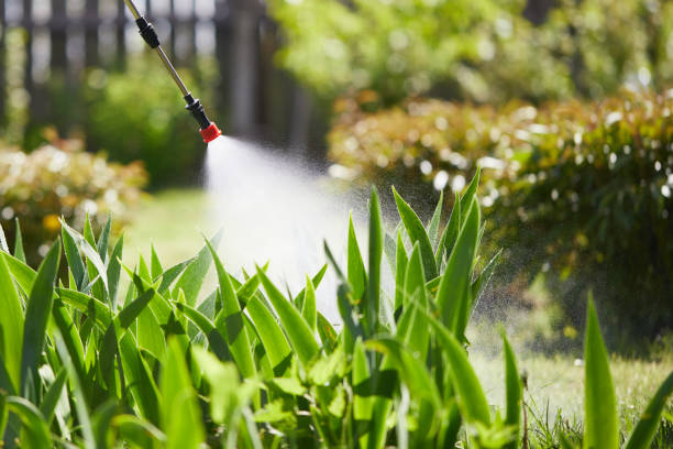 24/7 Emergency Termite Control experts in Farmington, MS