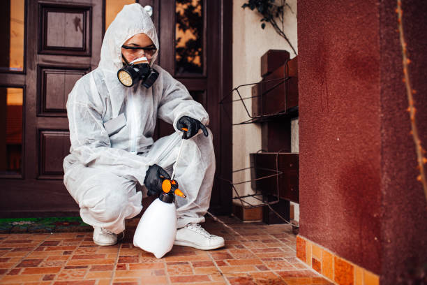 Reliable Termite Control contractor in Farmington, MS by Nex Pest Control